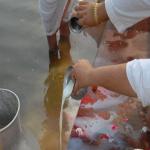 Vraj-Yatra-2014- (831)